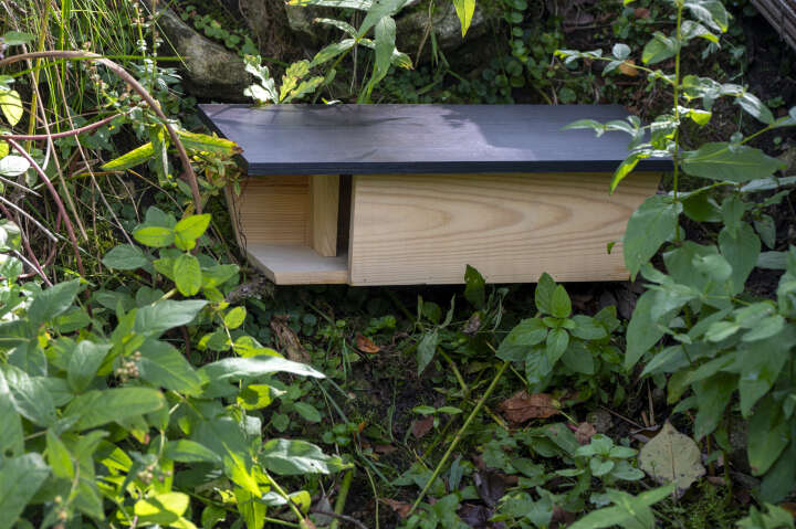 dobar Bachstelzennistkasten aus Holz